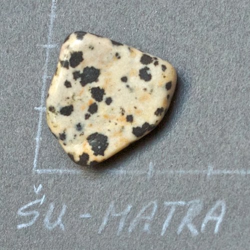 Jaspis dalmatin