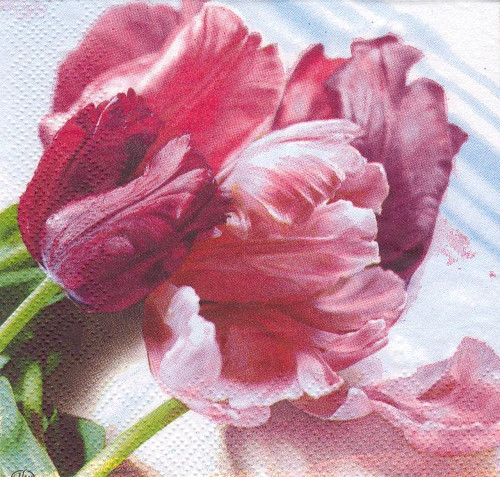 Ubrousek - tulipány (3 ks) — foto 1