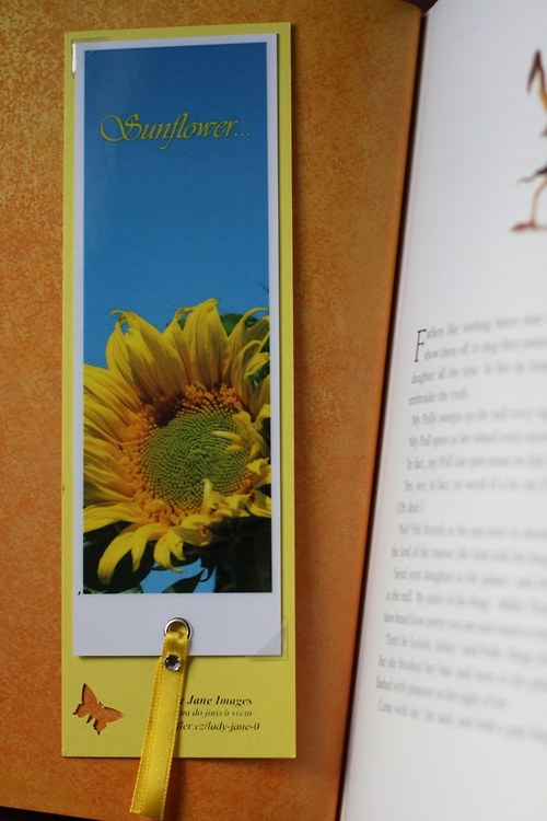 Sunflower — foto 1