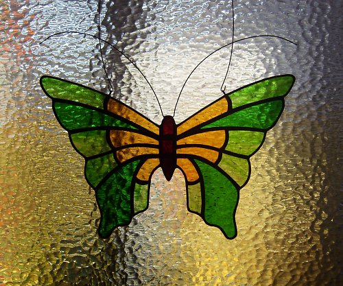 Papilio — foto 1