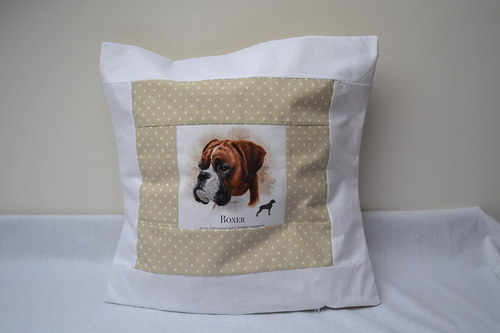 Boxer — foto 1