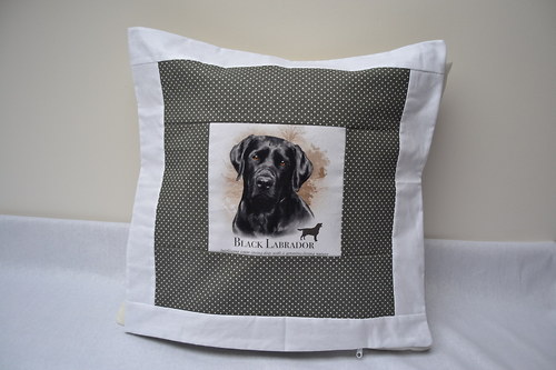 Labrador černý — foto 1
