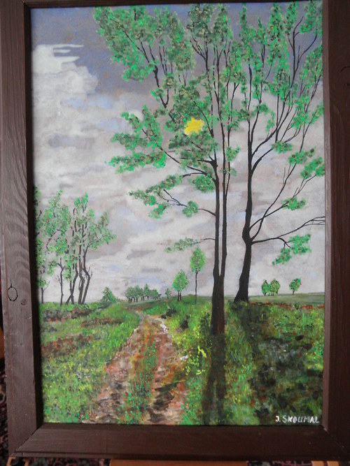 Cesta na pole