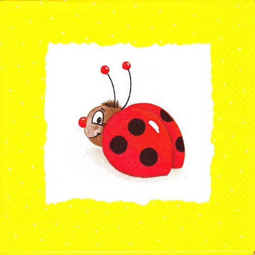 Ubrousek 33 x 33 cm — foto 1