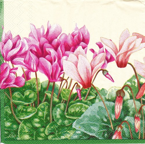 Ubrousek 33 x 33 cm