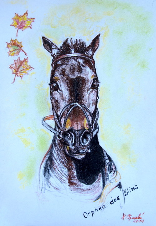 Orphee des Blins- 3x vítězka Velké pardubické