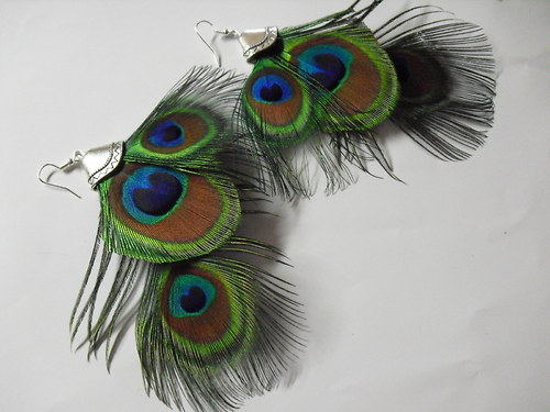 Peacock in night — foto 1
