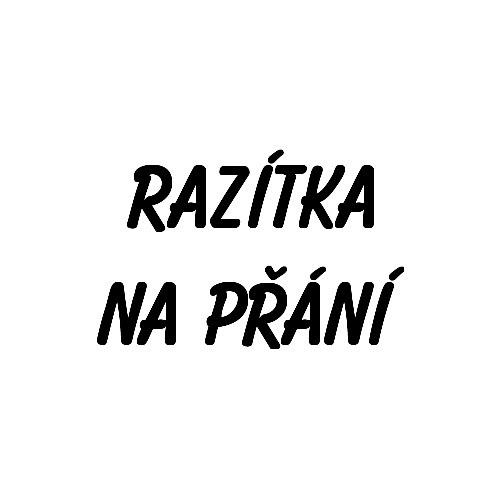 Razítko na přání - cca 8x8cm — foto 1