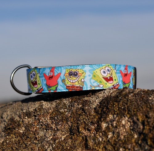 Obojek veselý Spongebob 2,5 cm šíře — foto 1