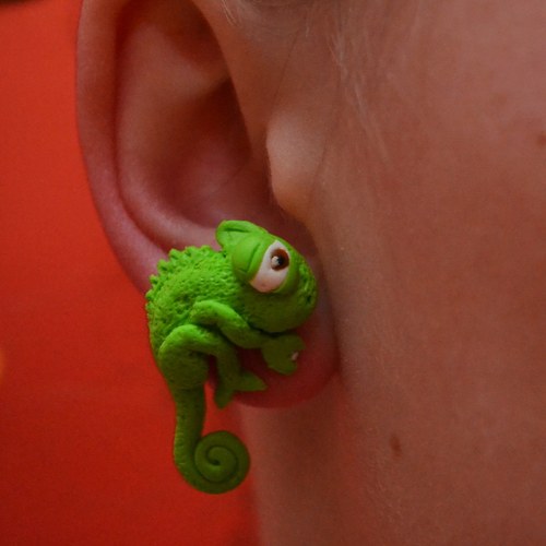 Chameleon zamilovaný — foto 1
