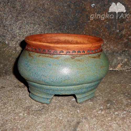 BONSAI MISKA 13,5x8,5 cm. — foto 1