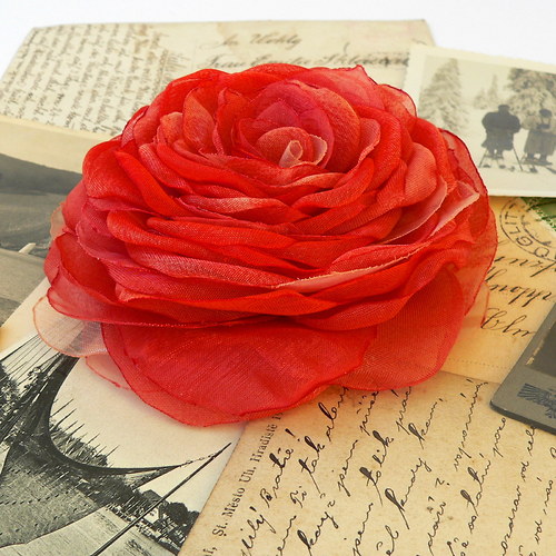 Where the wild roses grow — foto 1