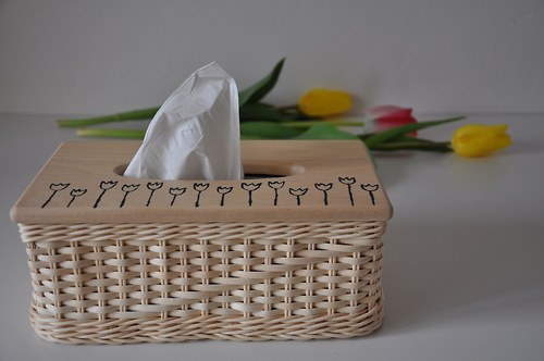 Kapesníkovník tulipánkovitý :)