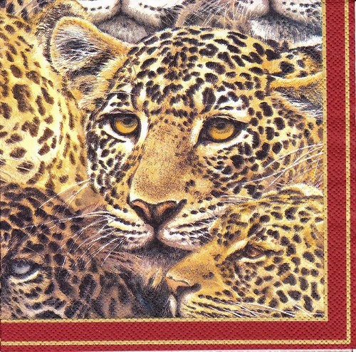 Ubrousek 33 x 33 cm