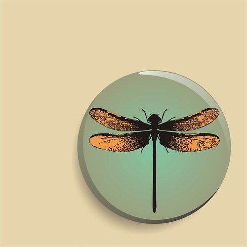 Zrcátko - dragonfly