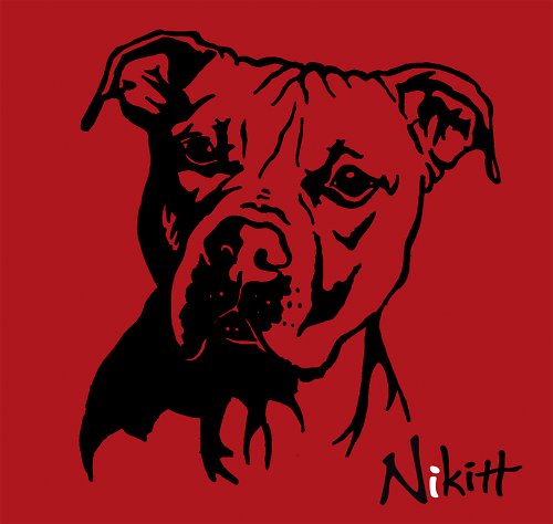 Pitbull — foto 1