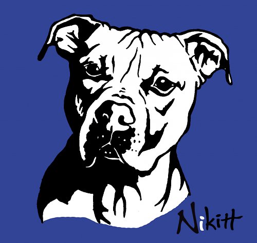 Pitbull II. — foto 1
