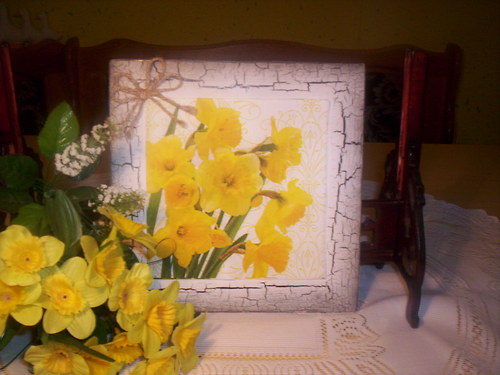 Narcisky