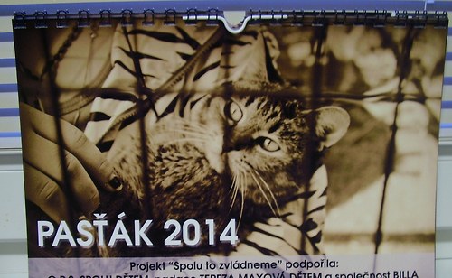 Kalendář 2014 — foto 1
