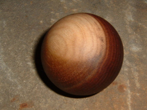 Kanadský ořech — foto 1