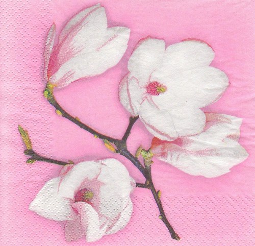 Ubrousek - magnolie