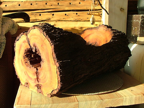 Trnkový mísošpalík — foto 1