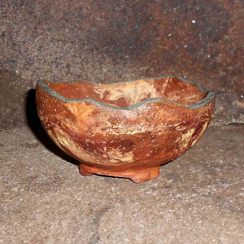 BONSAI MISKA 14x7,5 cm — foto 1