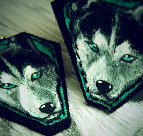 Sněžný husky — foto 1