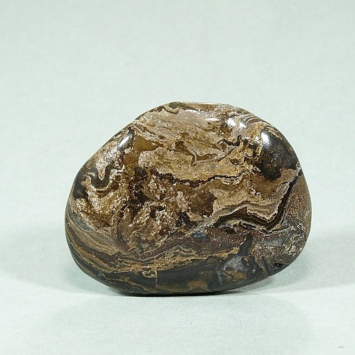 Stromatolit — foto 1