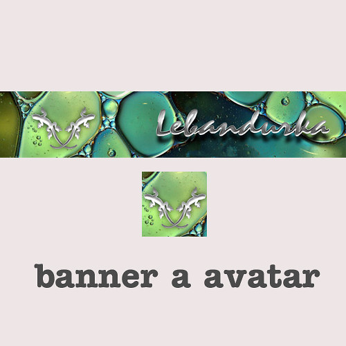 BANNER A AVATAR / na přání — foto 1
