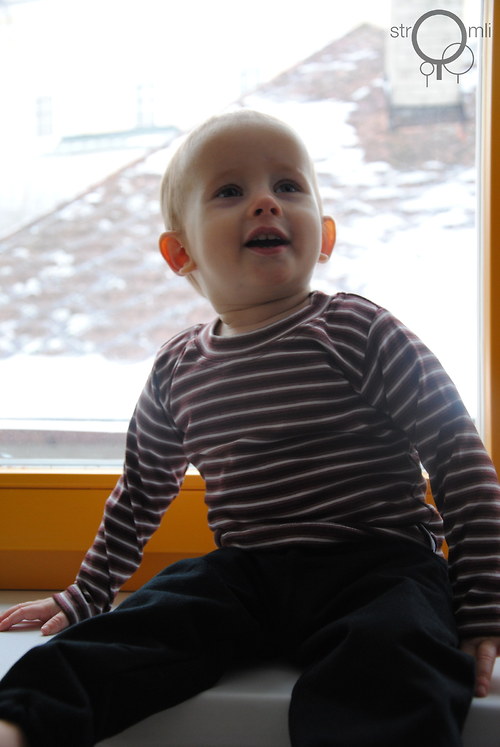 Hnědé pruhované, 6-9 M — foto 1