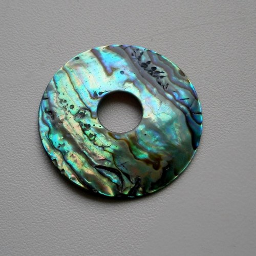 Donut - paua 1. — foto 1