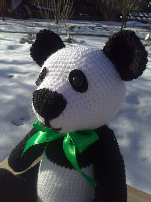 Černobílá? Jedině panda... — foto 1