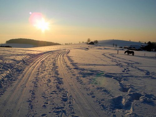 Krajina ticha.. zima na lyžích pohlednice °