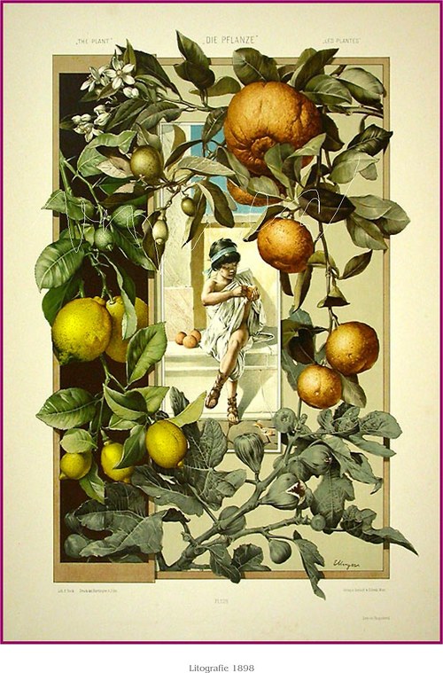 Botanická secese I