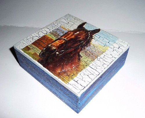 Koňská krabička — foto 1
