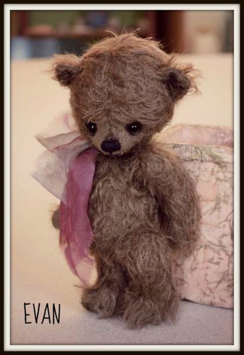 EVAN — foto 1