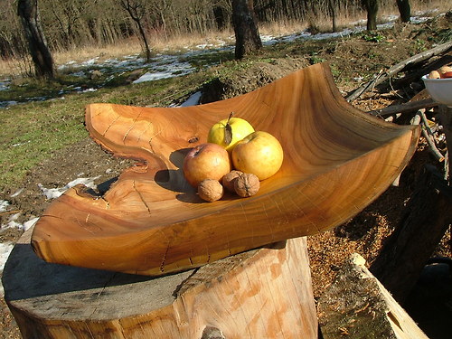 Rohatá třešňová — foto 1