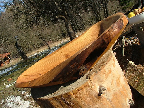 Třešňová sukatá — foto 1