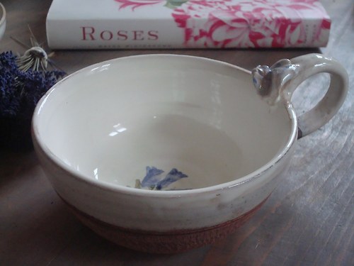 HRNEK Rosa Ile de Bourbon hořec — foto 1