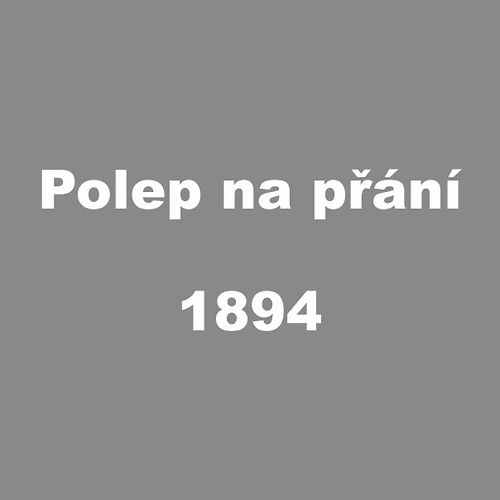 Polep na přání - 1894 — foto 1
