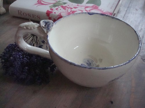 HRNEK Rosa Ile de Bourbon Blue — foto 1