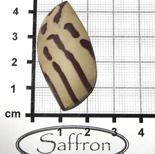 Zebra stone Austrálie, kabošon. č3 — foto 1