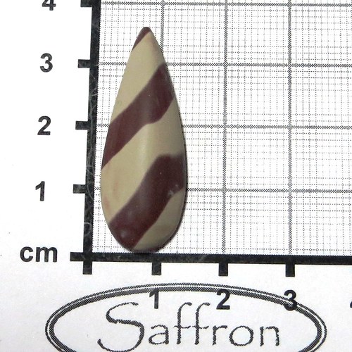 Zebra stone Austrálie, kabošon. č5 — foto 1
