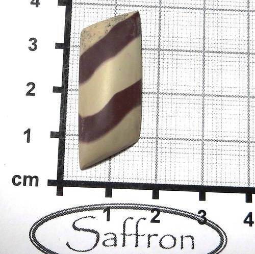 Zebra stone Austrálie, kabošon. č6 — foto 1