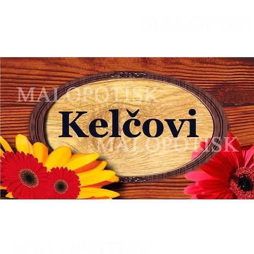 Jmenovka na dveře, barevná (dřevo, gerbery) 9x5cm