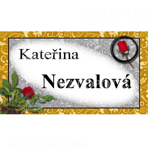Jmenovka na dveře, barevná "Nezvalová" 9x5cm