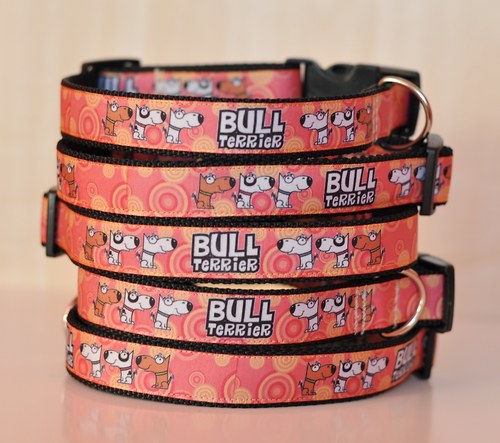 Obojek BULL terrier — foto 1