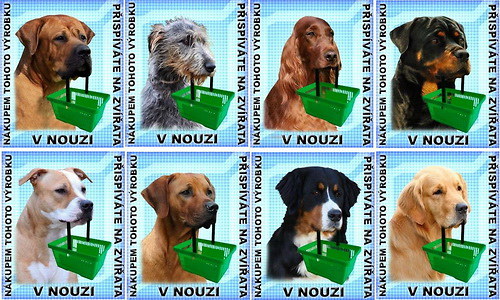 Visačka s pejskem — foto 1