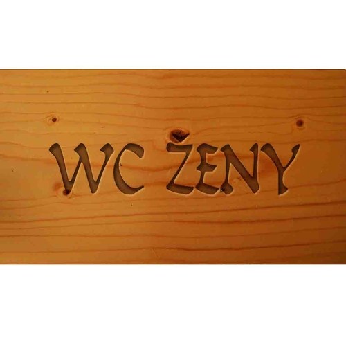 Cedulka na dveře, hliník im. dřevo WC ženy 9x5cm